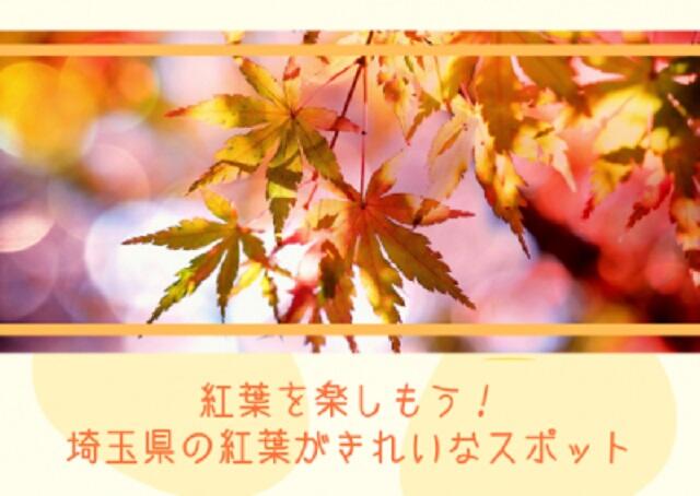 紅葉を楽しもう！埼玉県の紅葉がきれいなスポット