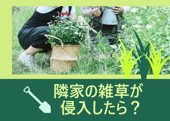 隣家の雑草が自宅敷地内に侵入！穏便に解決するための適切な対応とは？