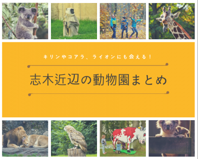 【志木】キリンやコアラ、ライオンも！子供も大喜びの志木近辺「動物園まとめ」