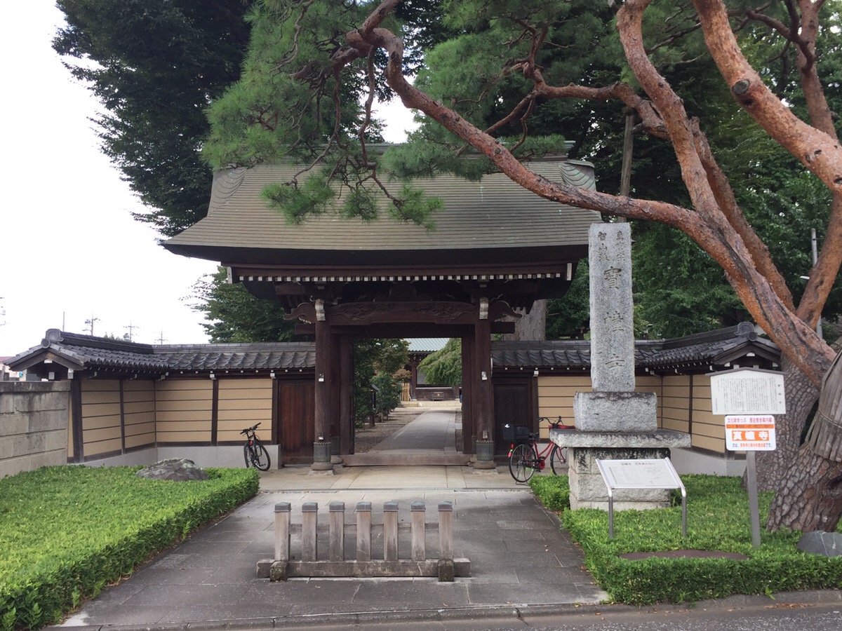 【志木】親子で「しだれ桜」を堪能♪カッパだけじゃない「宝幢寺」の魅力