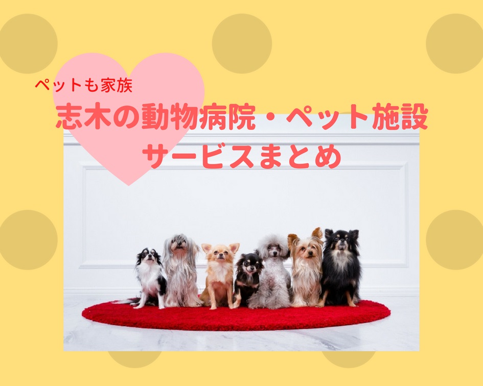 ペットも家族 志木編 志木の動物病院 ペット施設 サービスまとめ コラム ステキライフ志木 朝霞