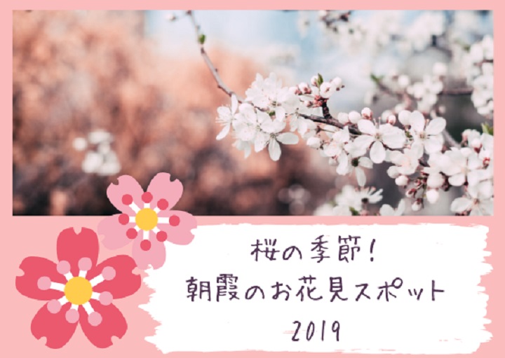 桜の季節！お花見スポット2019【朝霞、和光編🌸】