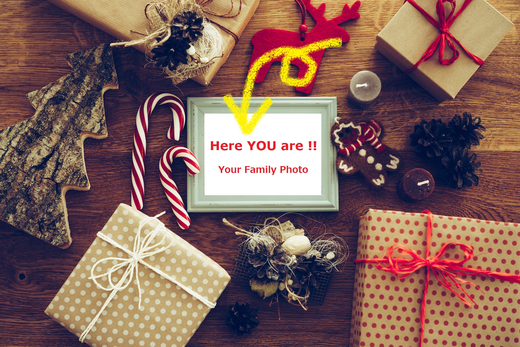 Say Cheese ! クリスマス・フォト撮影会／プロのカメラマンがお手伝い！