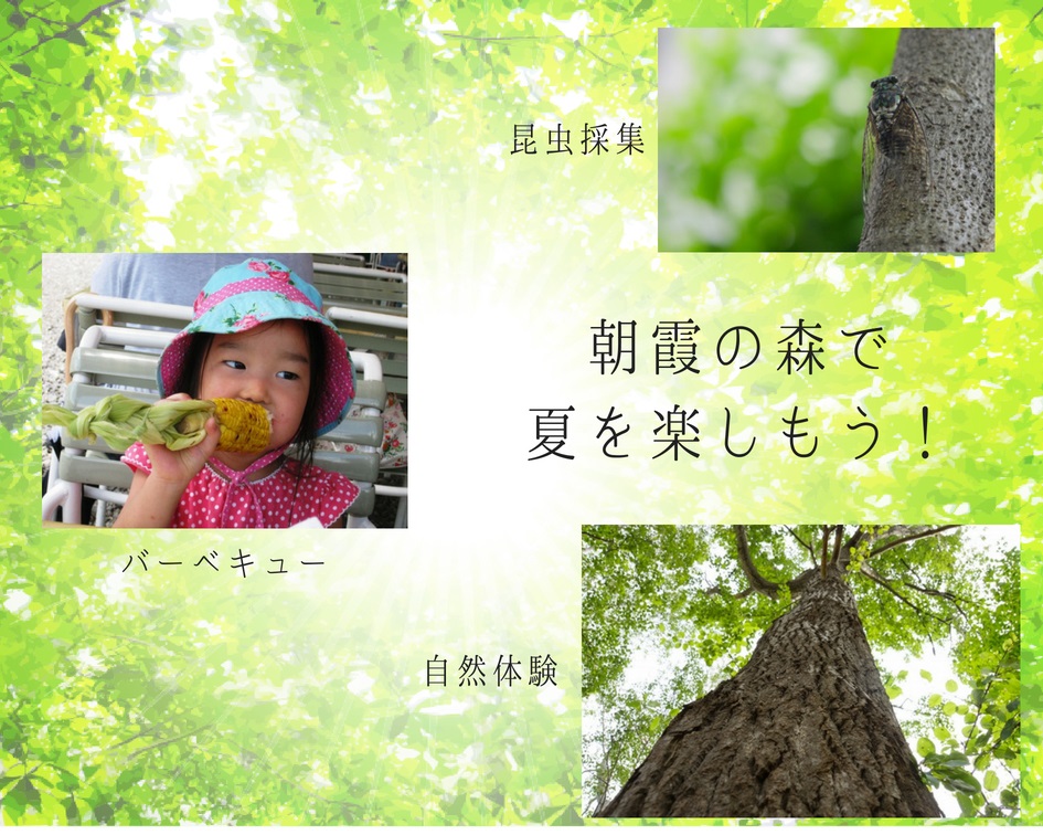 昆虫採集にバーベキュー　朝霞の森で夏を楽しもう！
