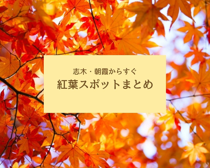 志木・朝霞周辺で楽しむ秋の紅葉!親子で行けるおすすめスポット5選
