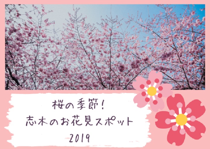 桜の季節!お花見スポット2019 【志木編🌸】