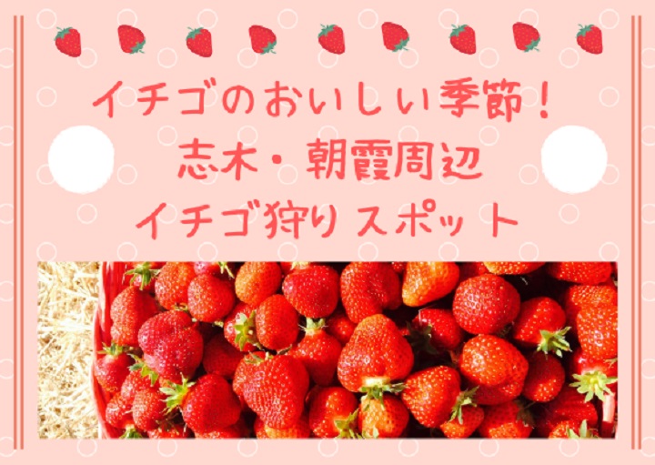 甘い香りに癒やされる!志木から行きやすいイチゴ狩り農園5選♪