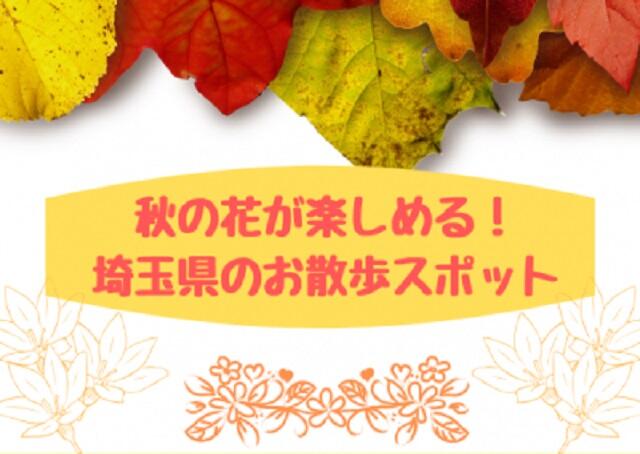 秋の花が楽しめる！埼玉県のお散歩スポット