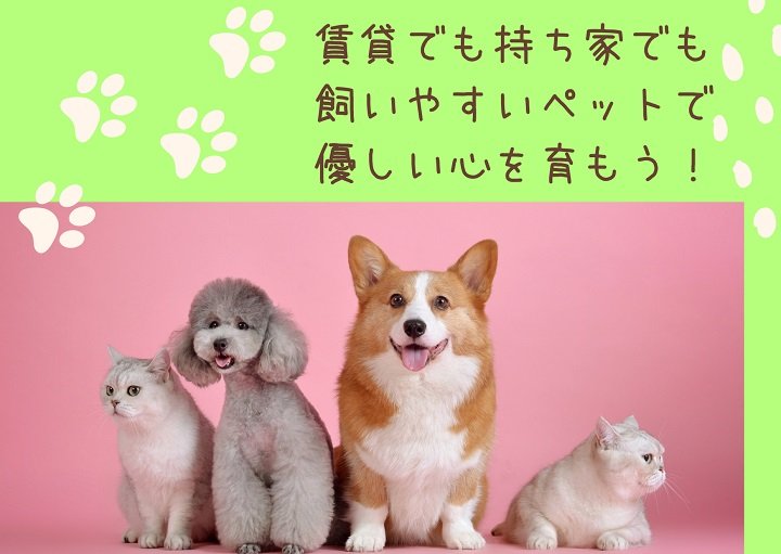 賃貸でも持ち家でも飼いやすいペットで、優しい心を育もう♡