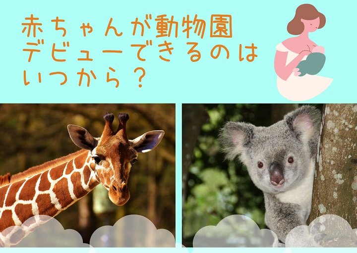 赤ちゃんが動物園デビューできるのはいつから?赤ちゃんも動物園を楽しめる?