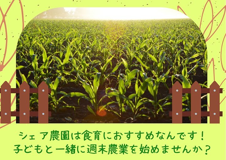 シェア農園は食育にもおすすめなんです！子どもと一緒に週末農業を始めませんか？