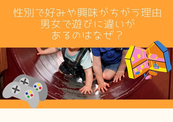 性別で好みや興味が違う理由　男女で遊びに違いがあるのはなぜ？
