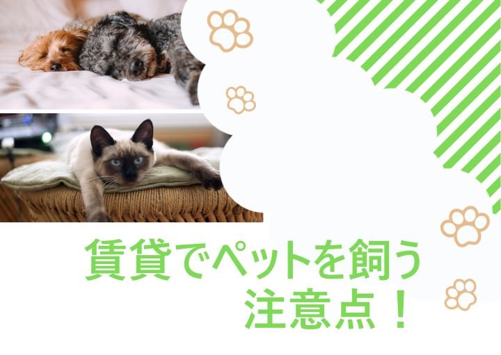【トラブル防止!】賃貸でペットを飼うときに気をつけること!